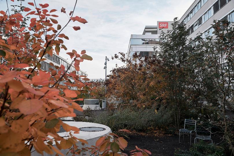 Mediengarten, SRF Campus, Zürich